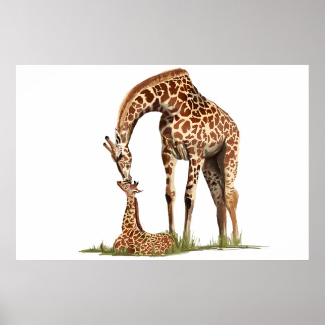 Giraffe und Küssen von Kleinkälbern Poster (Vorne)