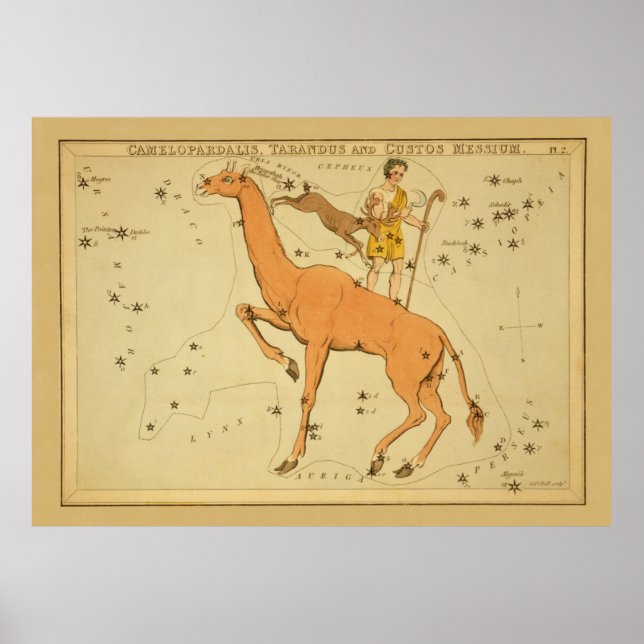 Giraffe - Vintages Sternenkartenbild Poster (Vorne)