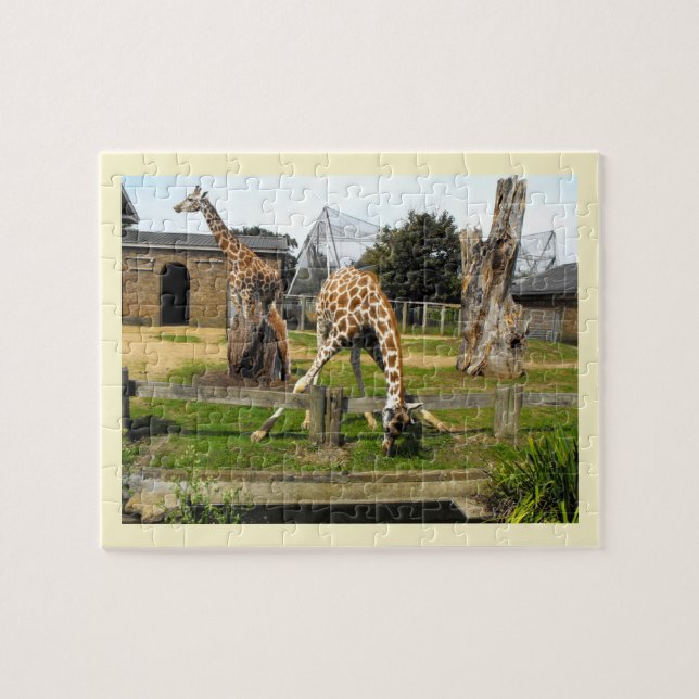 Giraffen (Horizontal)