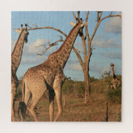 Giraffen 20" x 20" Puzzle