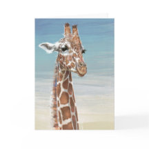 Giraffen-Anmerkungs-Karte