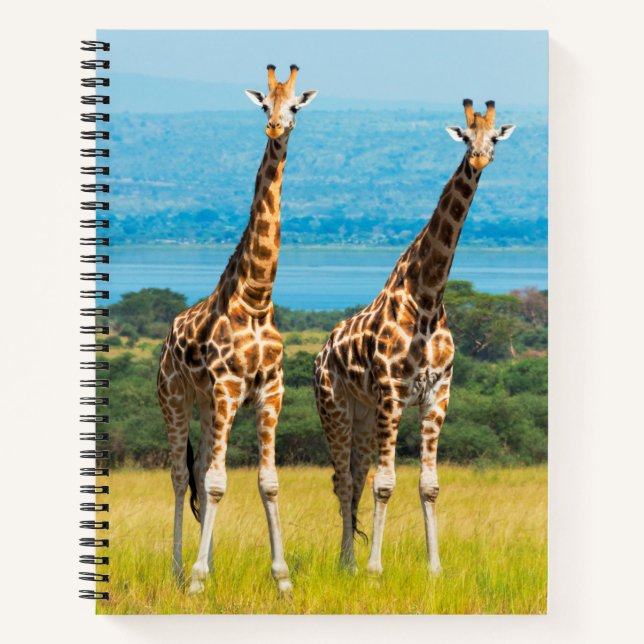 Giraffen auf der Savanna, Uganda Notizbuch (Vorderseite)