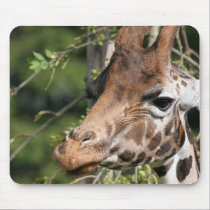 Giraffen-Bild-Mausunterlage Mousepad
