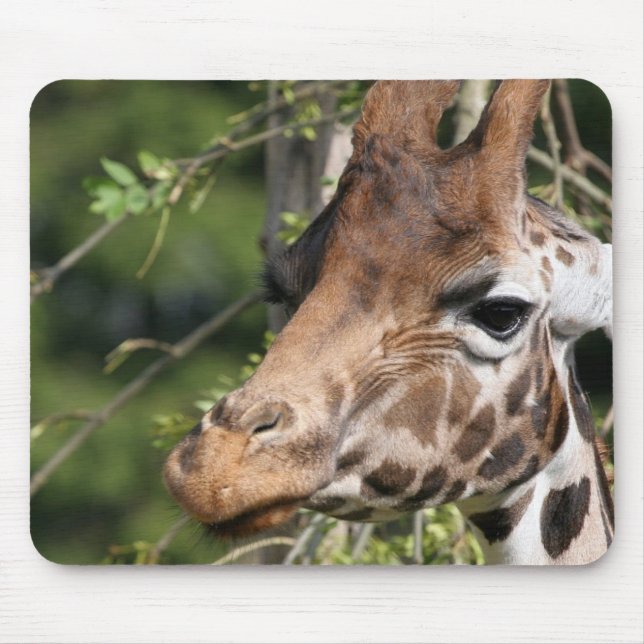 Giraffen-Bild-Mausunterlage Mousepad (Vorne)