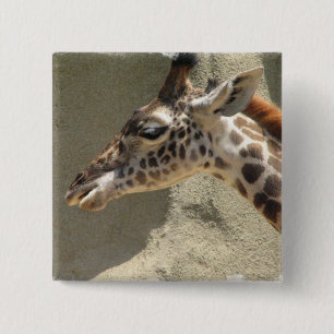 Giraffen-Button Button