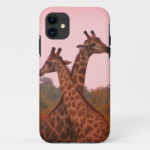 Giraffen Case-Mate iPhone Hülle