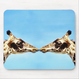 Giraffen, die Nasen berühren Mousepad