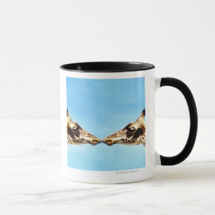 Giraffen, die Nasen berühren Tasse