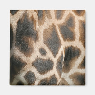 Giraffen-Druck-Muster-Magnet Magnet