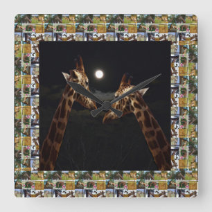 Giraffen eine wahre Liebesgeschichte, Quadratische Wanduhr