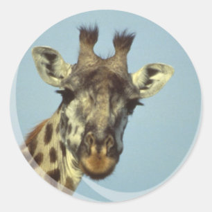 Giraffen-Entwurfs-Aufkleber Runder Aufkleber