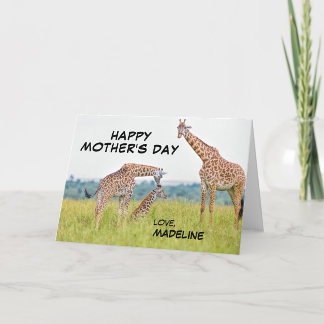 Giraffen-Familie Getty Bild-| Karte (Vorderseite)