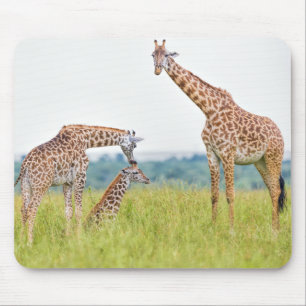 Giraffen-Familie Getty Bild-  Mousepad