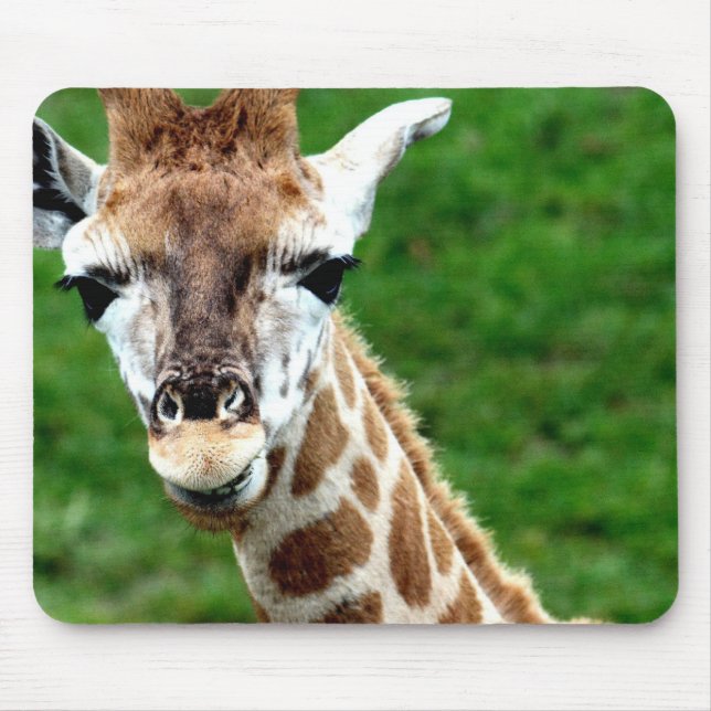 Giraffen-Foto-Mausunterlage Mousepad (Vorne)