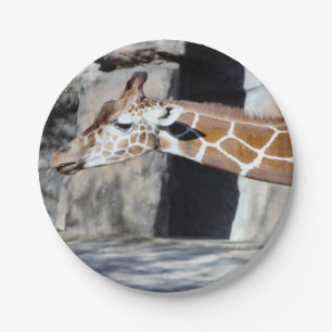 Giraffen-Foto Pappteller