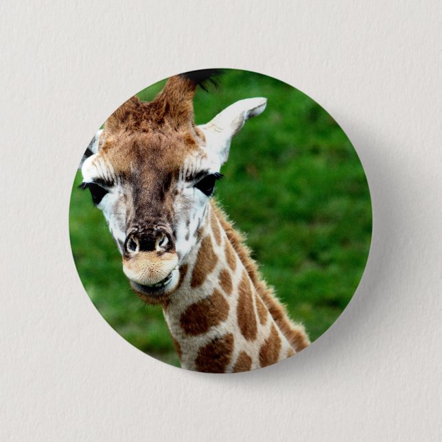 Giraffen-Foto-runder Knopf Button (Vorderseite)