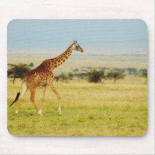 Giraffen-gehendes Masai Mara Plains Kenia mousepad