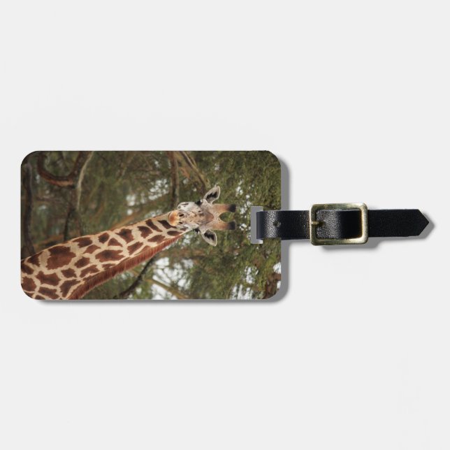 Giraffen-Gepäckanhänger Gepäckanhänger (Vorderseite horizontal)