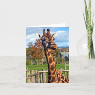 Giraffen-Grußkarte Karte
