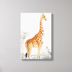 Giraffen-Illustration Vintage-Kunstprint Leinwanddruck
