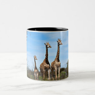 Giraffen im Freiluftgehege Zweifarbige Tasse