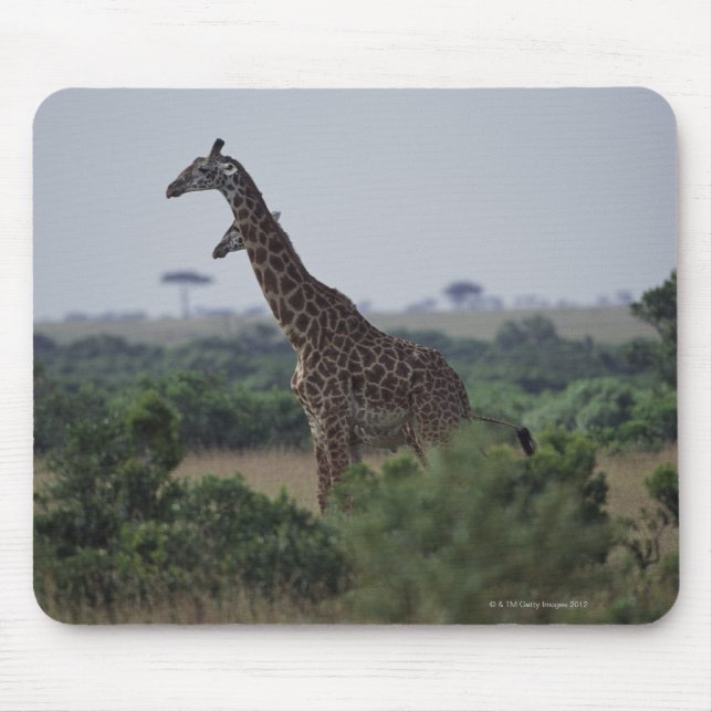 Giraffen in Afrika Mousepad (Vorne)