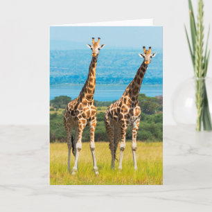 Giraffen in der Savanne, Uganda Karte
