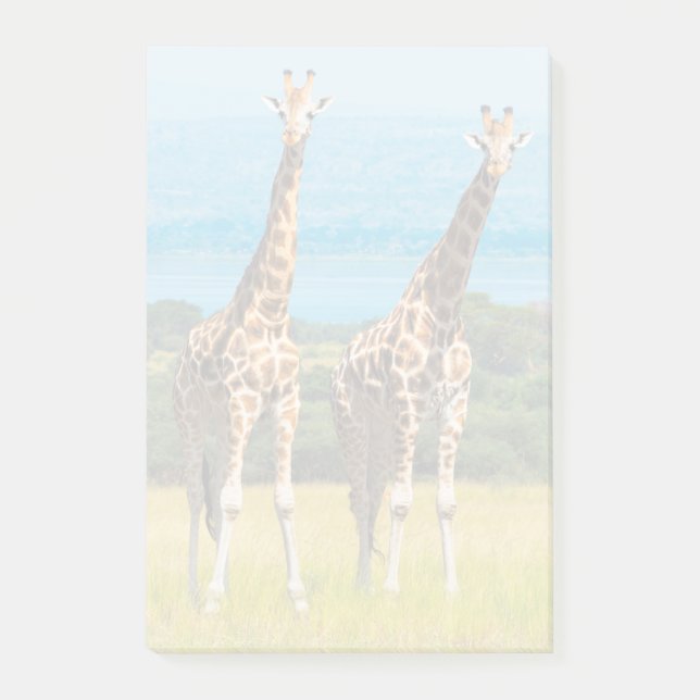 Giraffen in der Savanne, Uganda Post-it Klebezettel (Vorderseite)