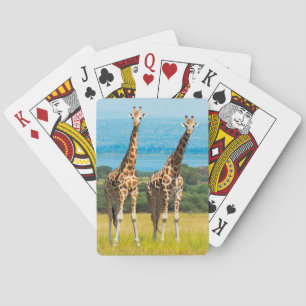 Giraffen in der Savanne, Uganda Spielkarten