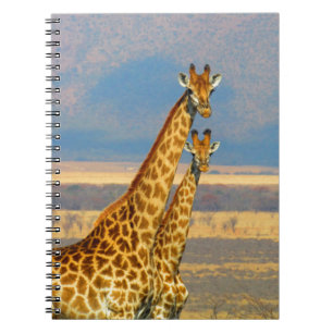 Giraffen in der schönen Naturlandschaft Südafrik Notizblock