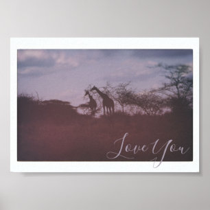 Giraffen in der wilden Habitat-Liebe Poster