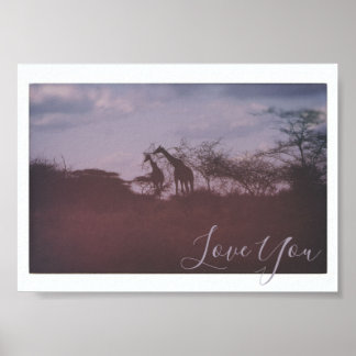 Giraffen in der wilden Habitat-Liebe Poster