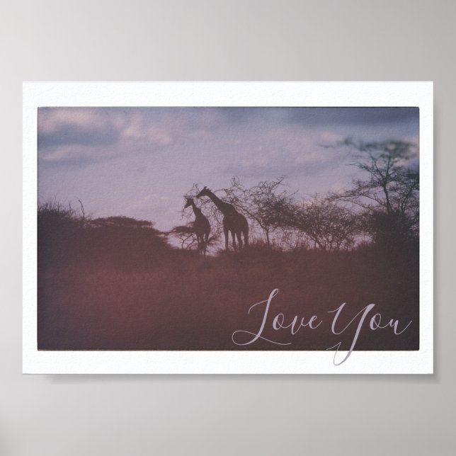 Giraffen in der wilden Habitat-Liebe Poster (Vorne)