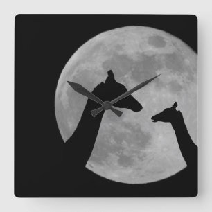 Giraffen in Fullmoon-Nacht Quadratische Wanduhr