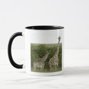 Giraffen in Kenia, Afrika 2 Tasse