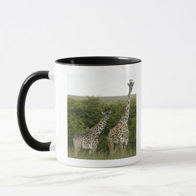 Giraffen in Kenia, Afrika 2 Tasse (Links)