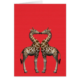 Giraffen in Liebe