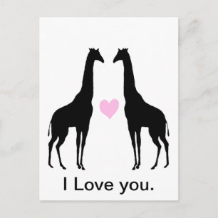 Giraffen in Liebe Postkarte