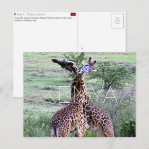 Giraffen in Masai Mara, Kenia Reise-Postkarte Postkarte
