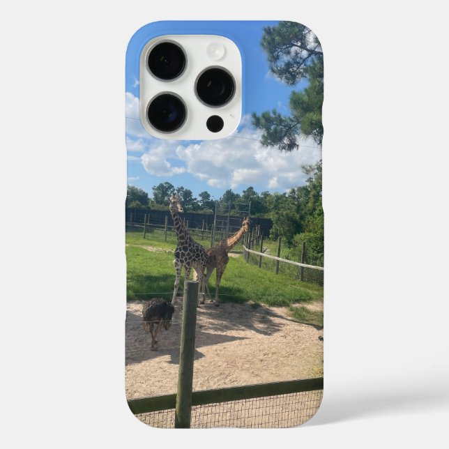 Giraffen  iPhone 16 pro hülle (Rückseite)
