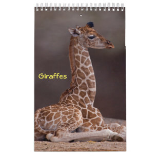 Giraffen Kalender