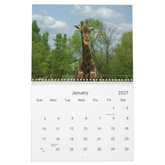 Giraffen Kalender (Jan 2027)