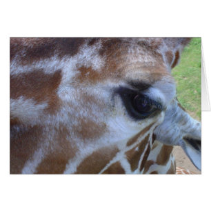 Giraffen-Karte!