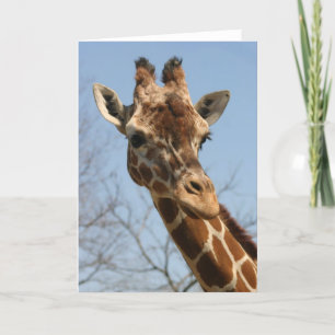 Giraffen-Karte Karte