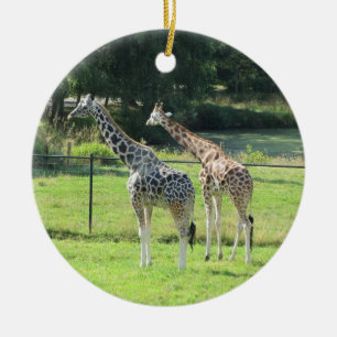 Giraffen Keramik Ornament