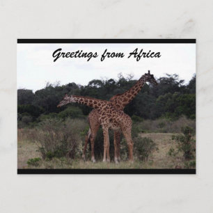 Giraffen kreuz Liebe Postkarte