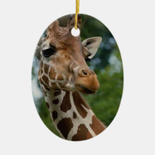 Giraffen-Liebhaber-Weihnachtsverzierung Keramikornament