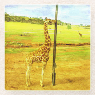 Giraffen machen mich zum Lachen Wasserfarbe, Glasuntersetzer