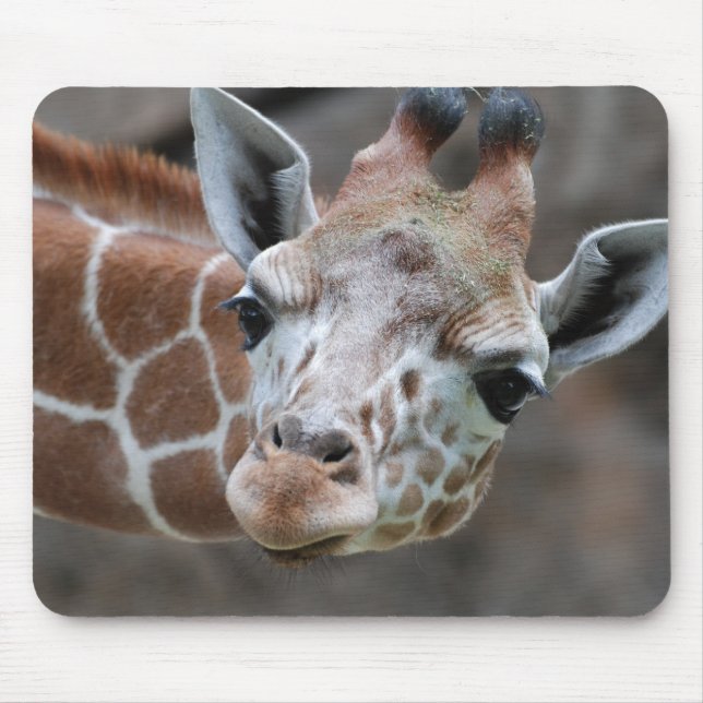 Giraffen-Mausunterlage Mousepad (Vorne)