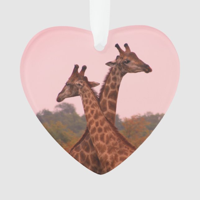 Giraffen mit rosa Himmel Ornament (Vorderseite)